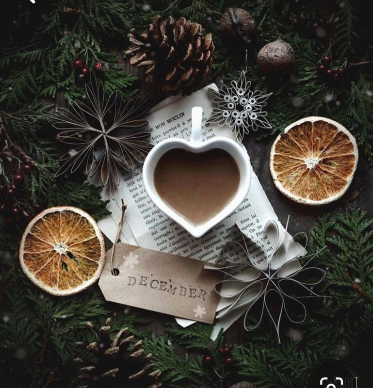 Screenshot_20231121_222402_Pinterest