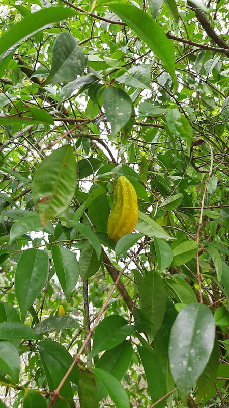 WhatsApp Image 2020-12-09 at 10.33.56 (2)