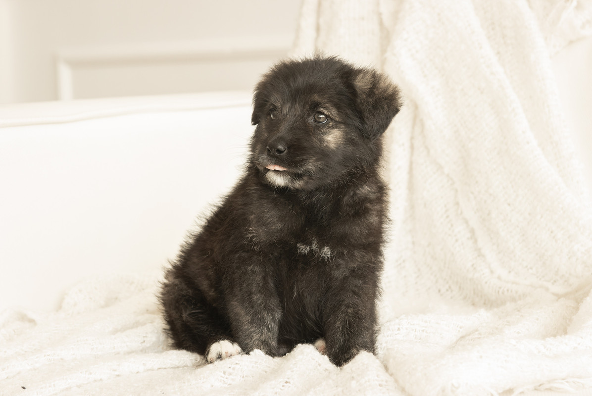 kovalyovaph  (54 of 87)