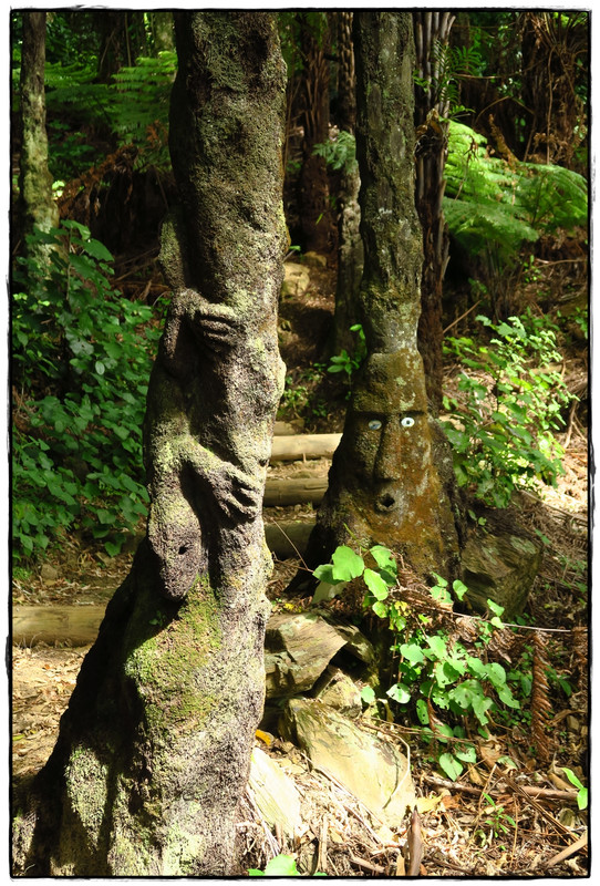 Escapadas y rutas por la Nueva Zelanda menos conocida - Blogs de Nueva Zelanda - Escapada a Picton (diciembre 2017): Queen Charlotte Track (11)