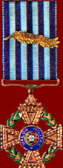 Medalha-Valor-Militar-Cobre-1-vm