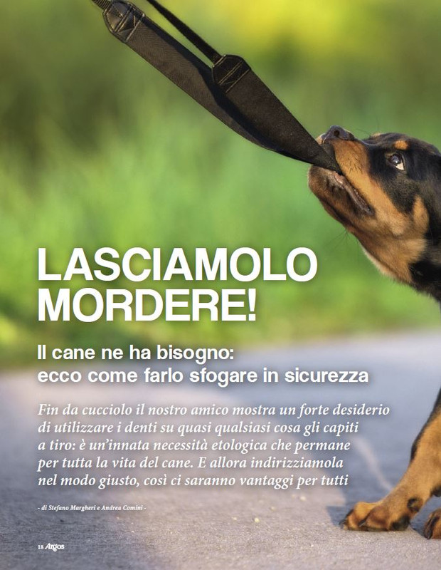 Argos Dic 2022-Gen 2023 (3)