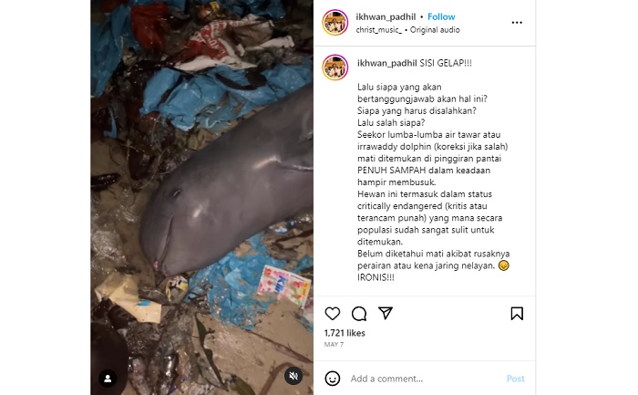 Unggahan video yang memperlihatkan seekor pesut terdampar dan dipenuhi sampah viral di media sosial.