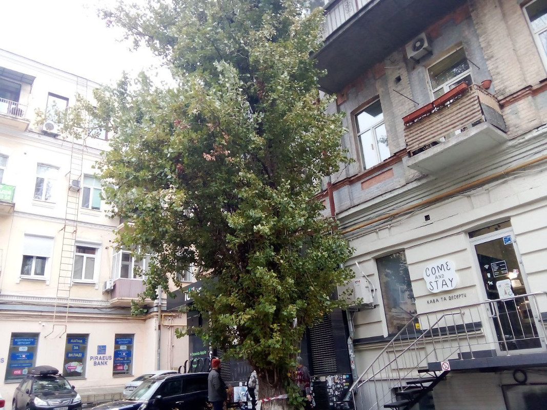 photo_2024-12-01 9.05.53 дп