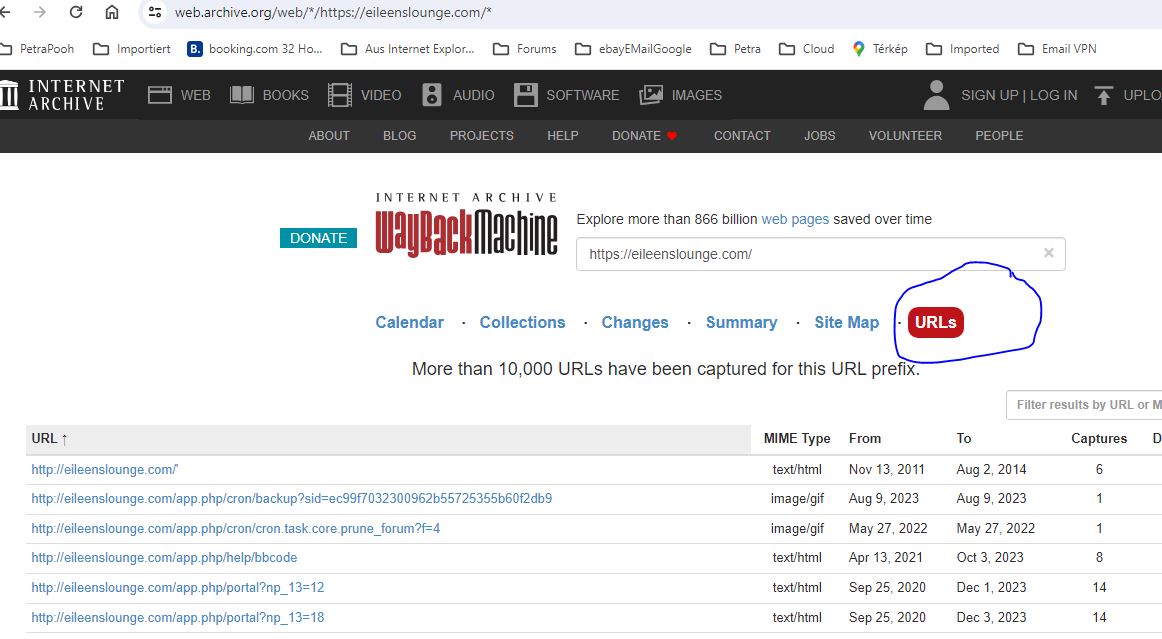 Wild card URL search thing at archive org’s WayBack Machine? - Eileen's ...