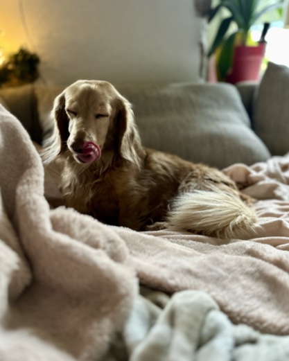 [Image: IMG-0082.jpg]