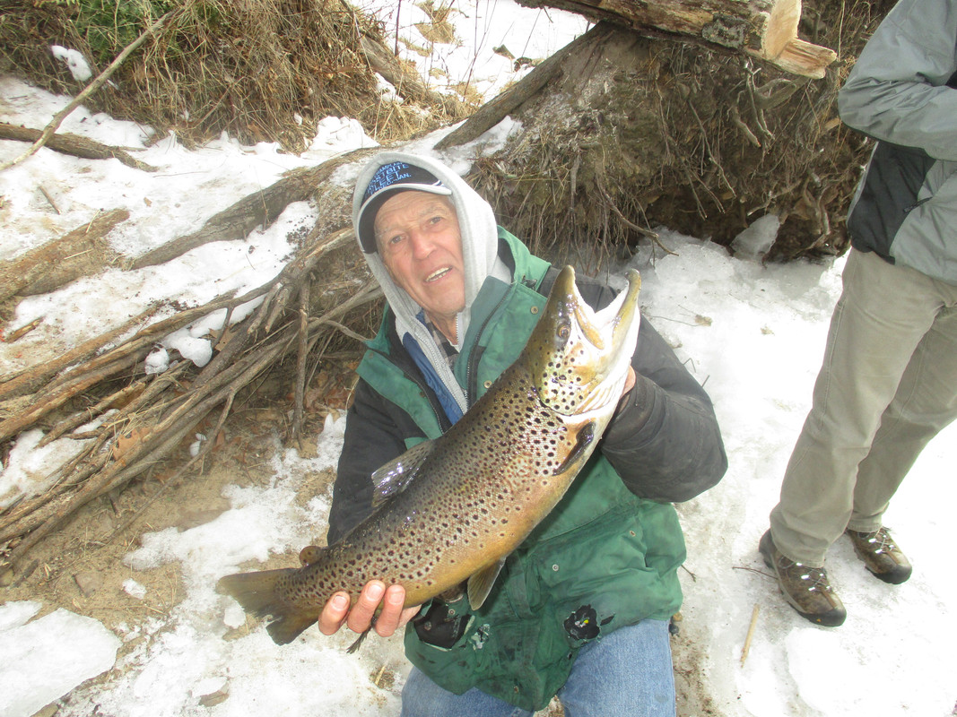 my biggest brown trout jan 17 2016 003