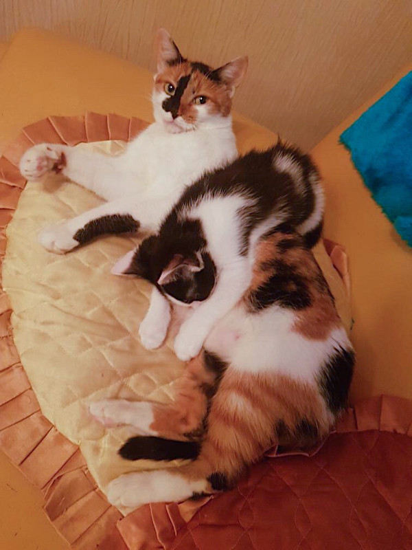 FECC5DCD-A110-4CE7-B501-5A29500AE154