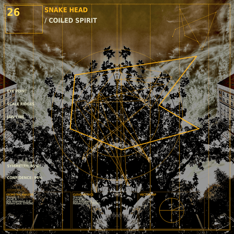 Snake head