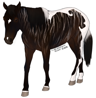 Seal-Brown-Tobiano-Brindle.png