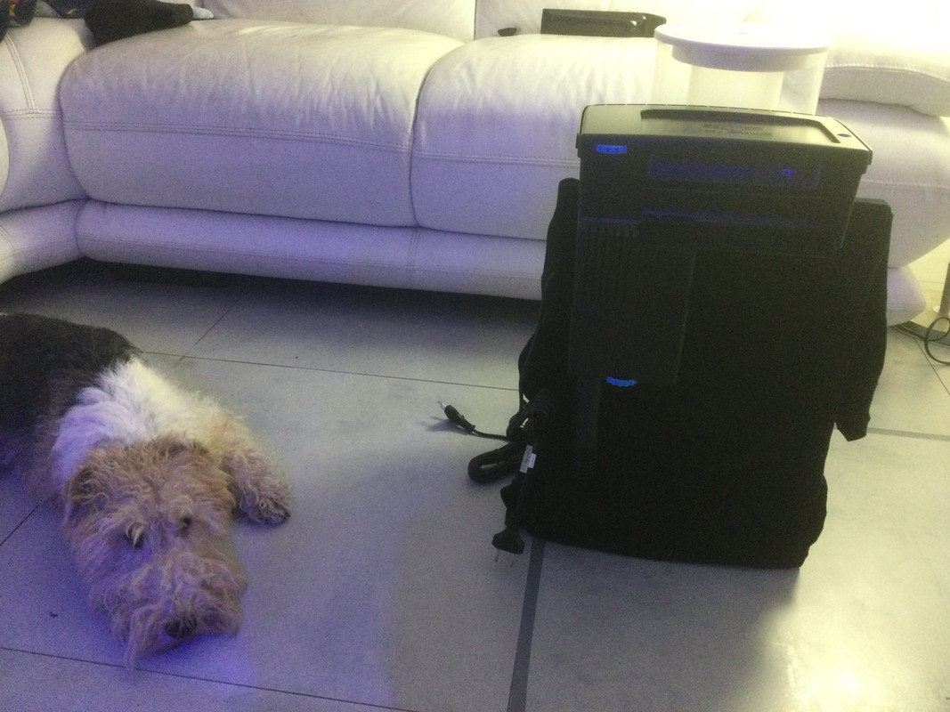 EEFB8EE6-D94D-4571-9D05-D294DD526FC8