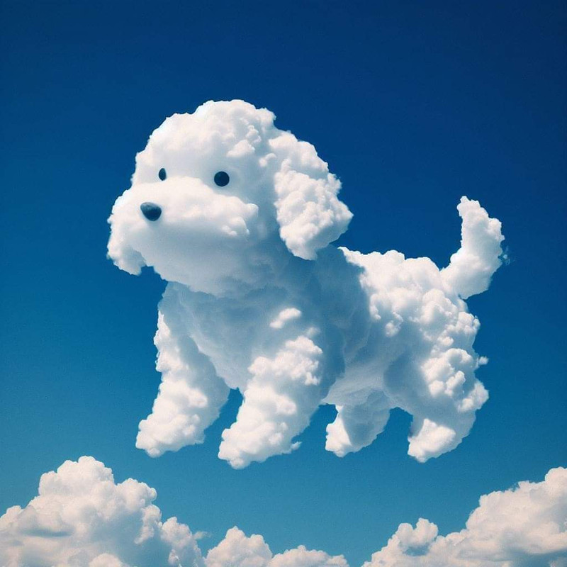 [Image: FB-IMG-1718616189318.jpg]