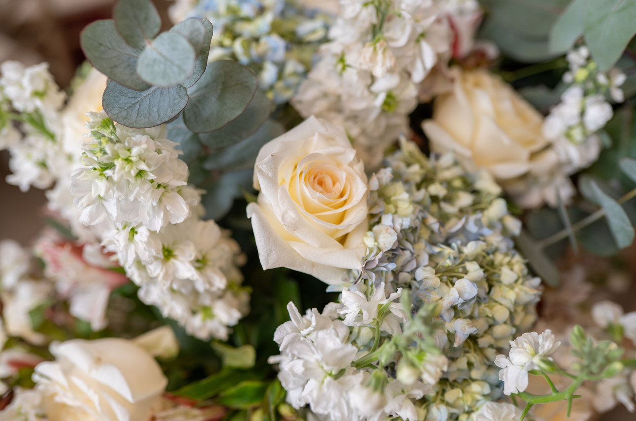 _PRA0049 - Recepción