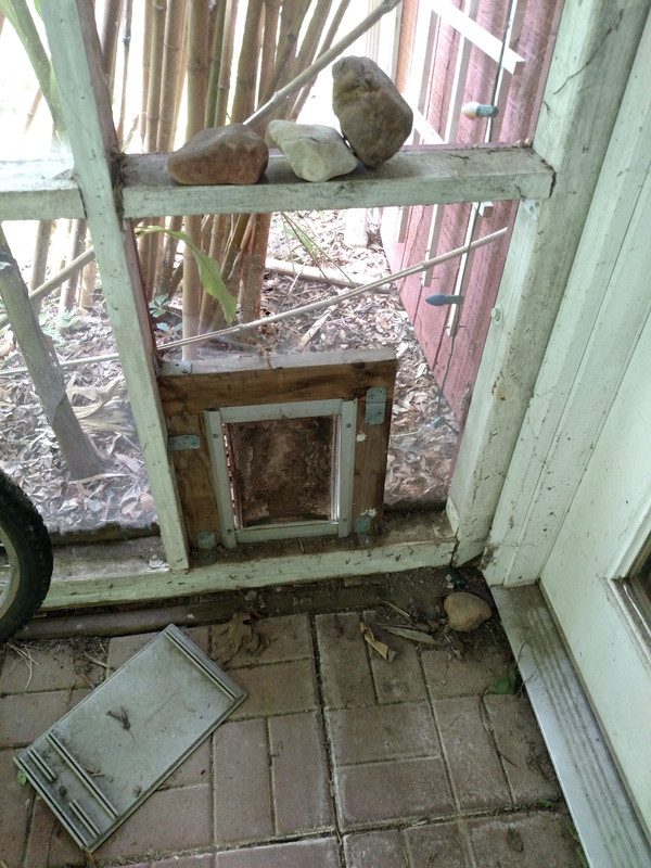 IMG_20180712_123554449