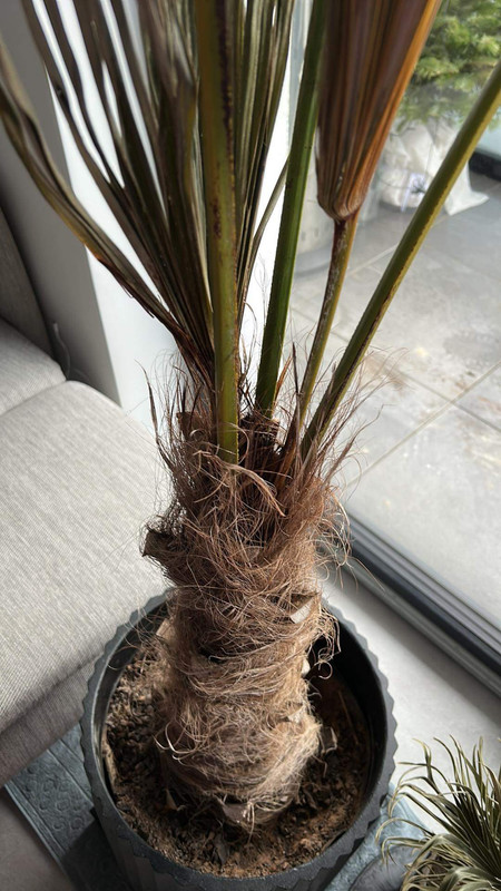 8AC8334B-9D2B-45DA-B538-D1DB323BB32D