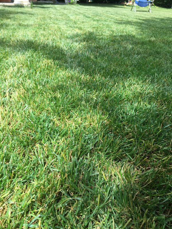 B60A678E-8720-4EA4-8679-1C45A83500CF