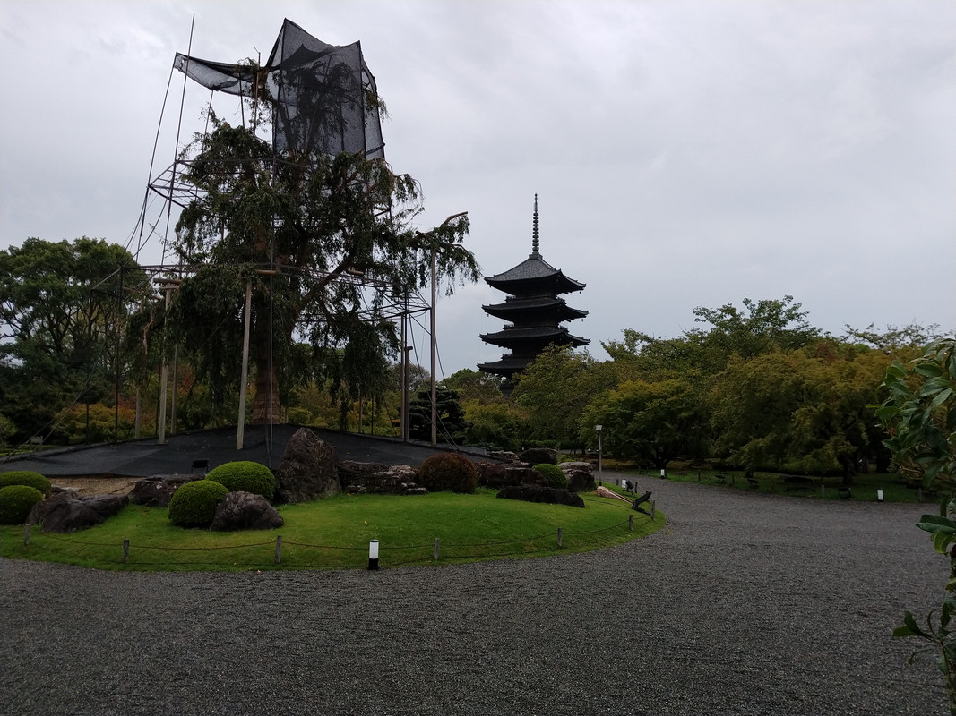 MIERCOLES 12/13  KYOTO - TOKIO - DUBAI - BARCELONA - JAPON. UNA GRAN AVENTURA , SIN ENAMORAMIENTO FINAL (1)