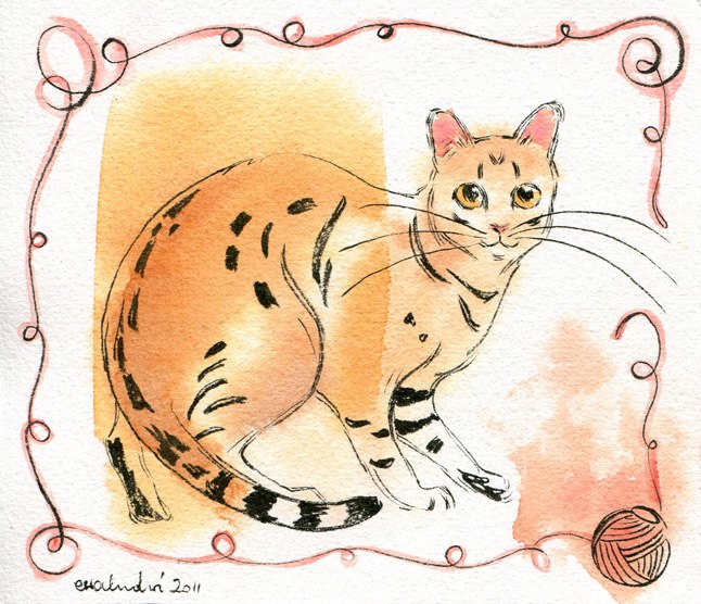 09