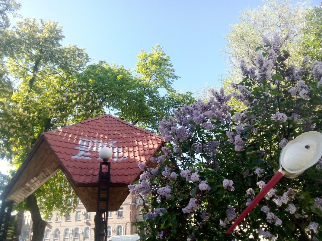 photo_2025-05-01 7.35.26 пп