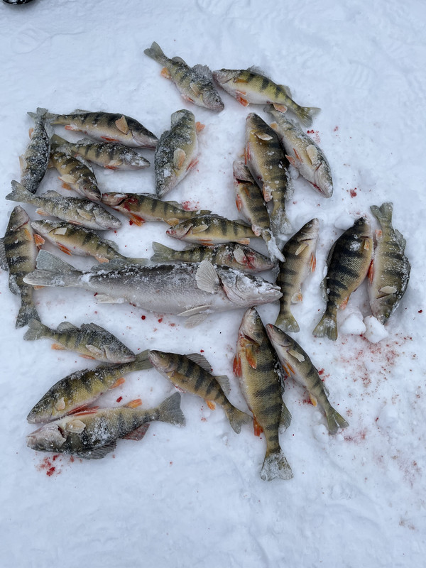 F6423726-7ABC-4EBF-8118-056420C11125