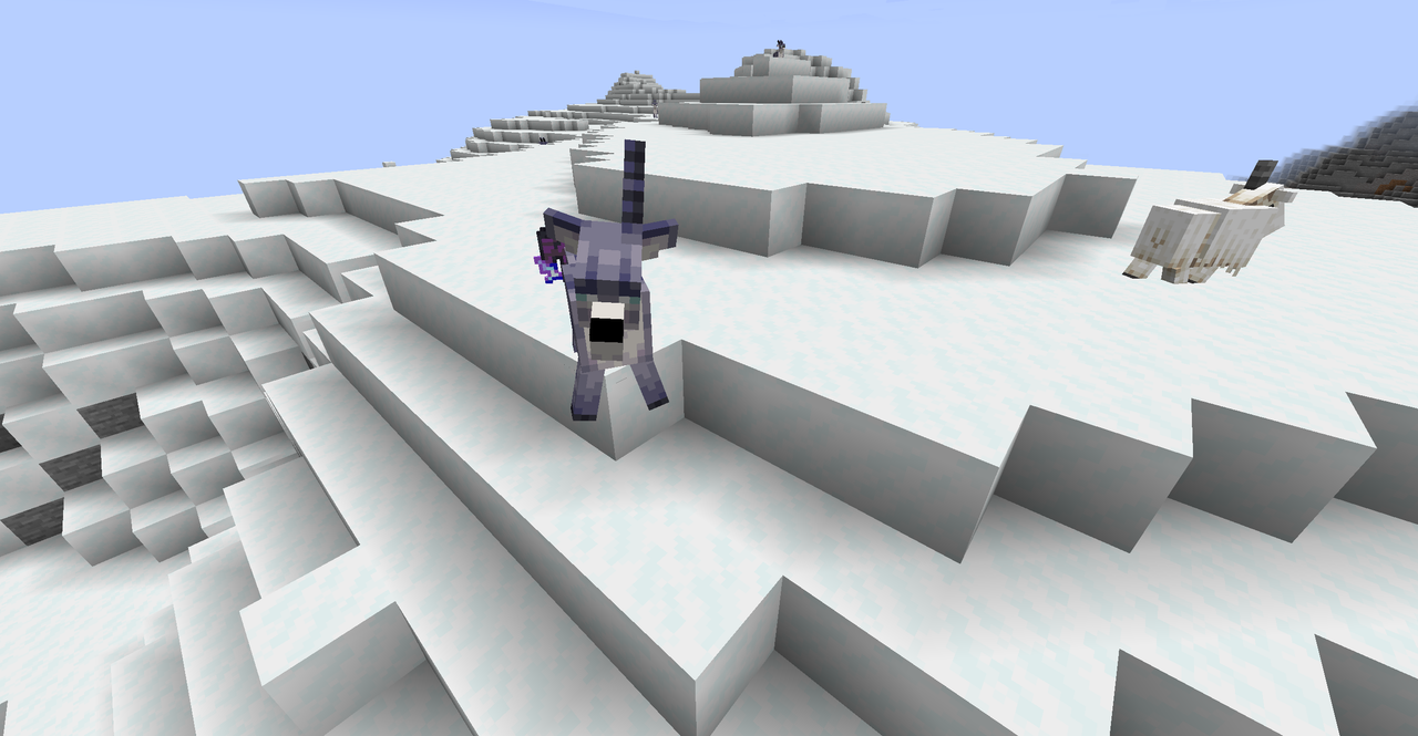 aerolope is shaking head