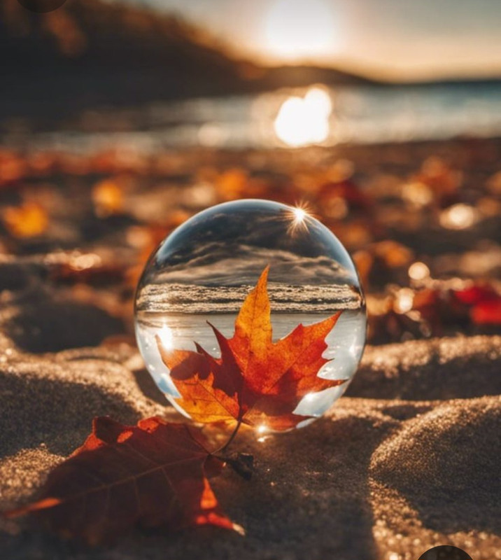 Screenshot_20231219_232858_Pinterest