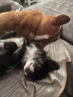 [Image: IMG-4647.jpg]