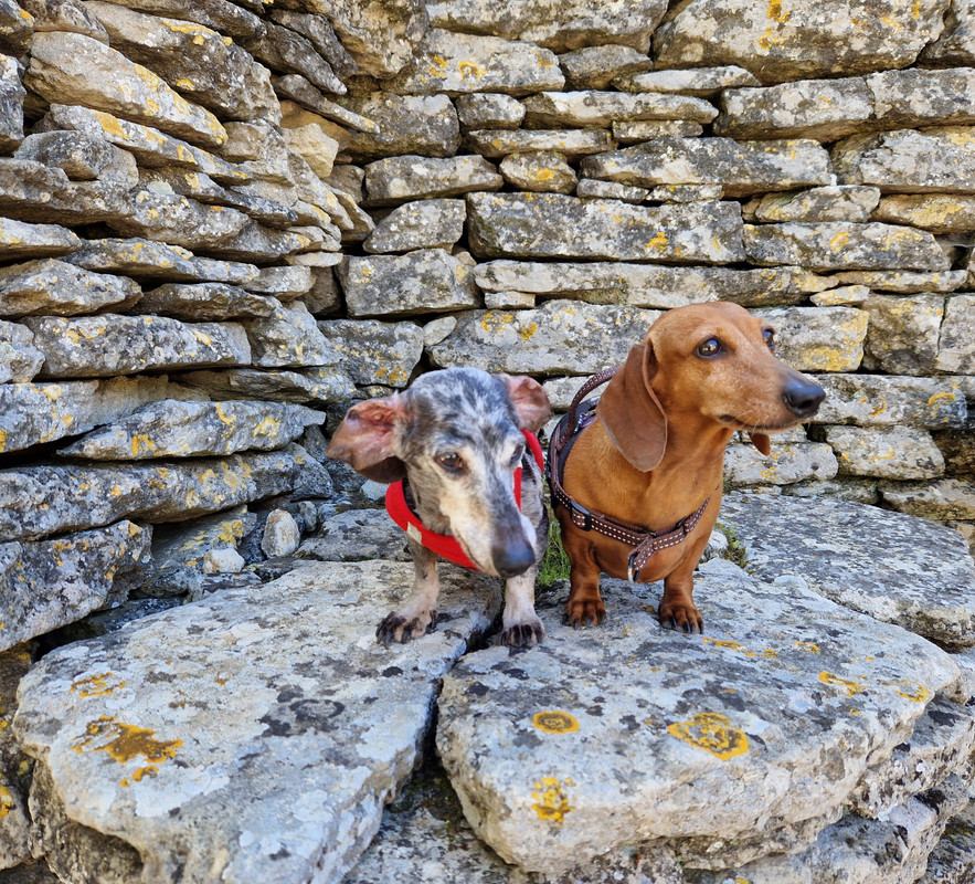 [Image: 20240510-154151.jpg]