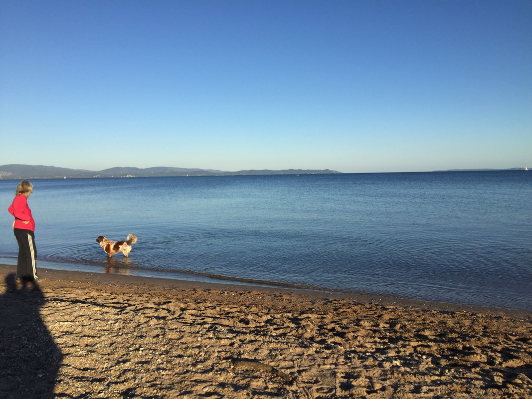 654C0F2C-9100-4B09-B735-2E5499CAC4E6