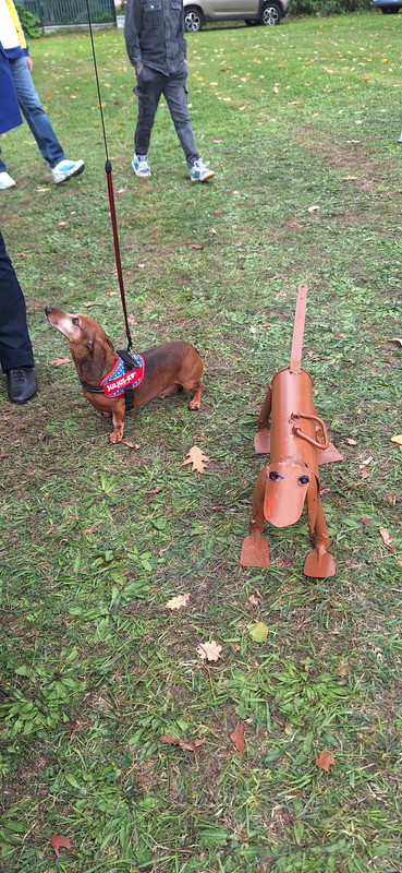 [Image: 20251005-140943.jpg]