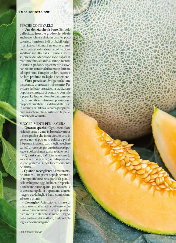 Il Mio Giar Giu-Lug 2025 (3)