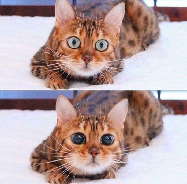 Fascinating-48