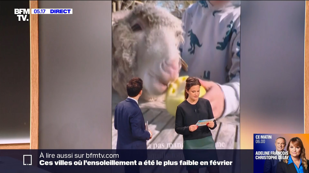 BFMTV Pauline 070324.mp4_snapshot_00.52.57.620