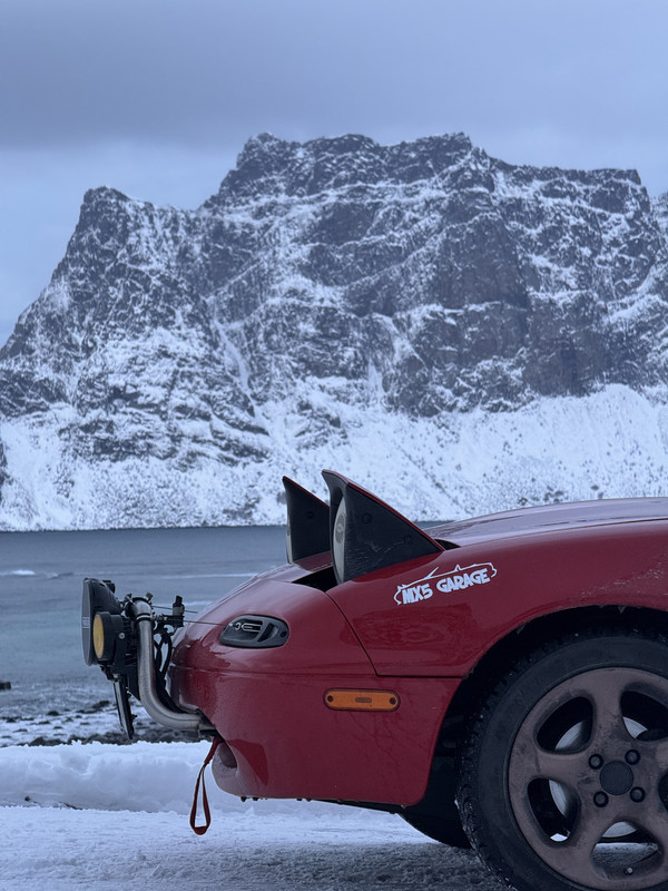 [Immagine: IMG-8726.jpg]