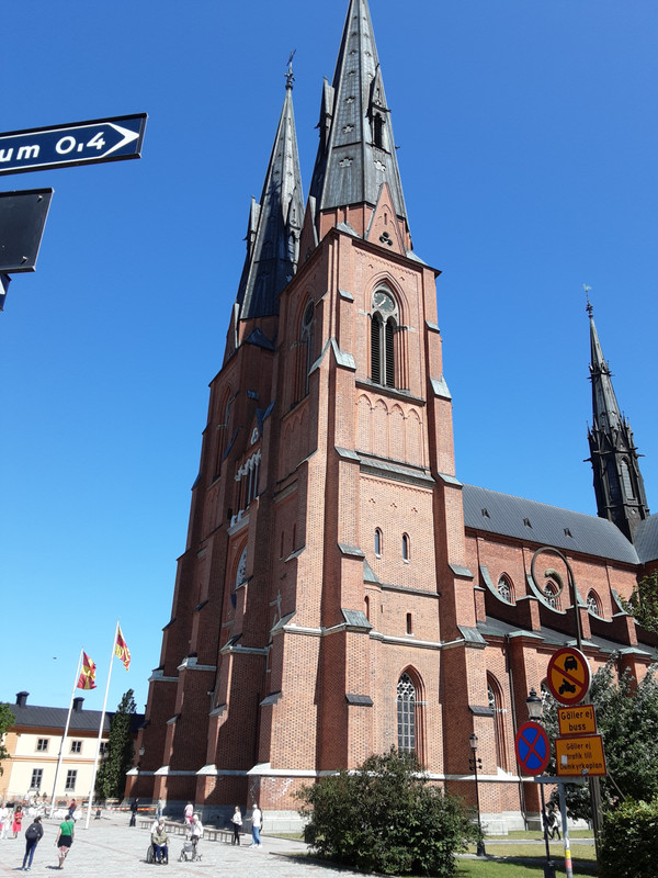 20250629-113811.jpg