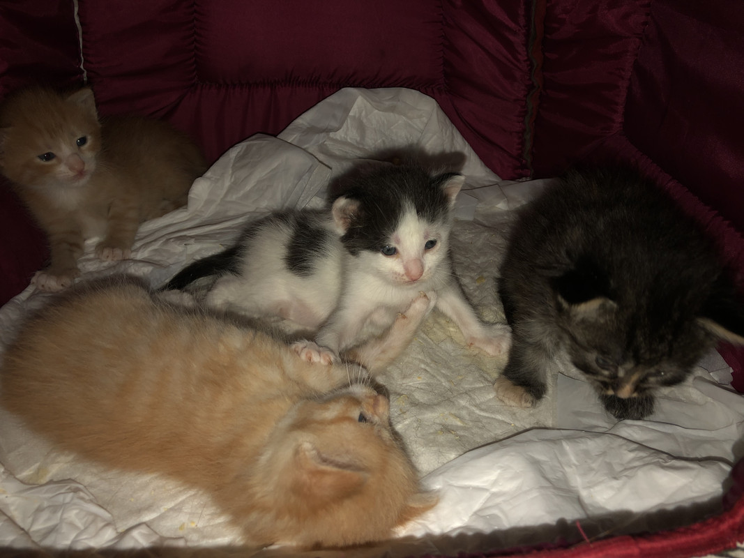 76D822E0-5C01-4CFB-809A-A11FCED9DD3C