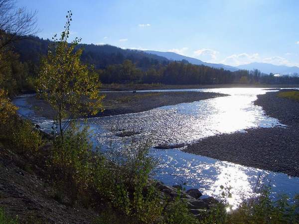 trebbia - rivergaro