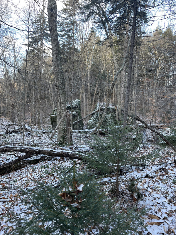 5B656B7E-F0C2-4DA3-B037-F6940F5502E7