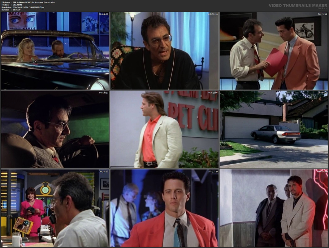 Silk Stalkings S03E03 To Serve and Protect.mkv