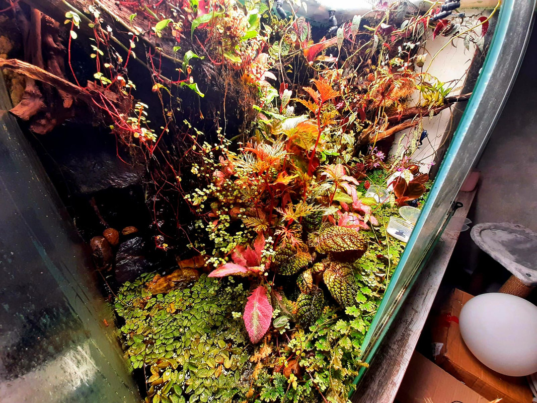 WhatsApp Image 2024-09-25 at 09.00.41 (1)