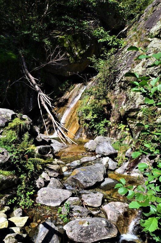 CORIPPO-8-9-2019 - Suiza y sus pueblos-2019 (37)