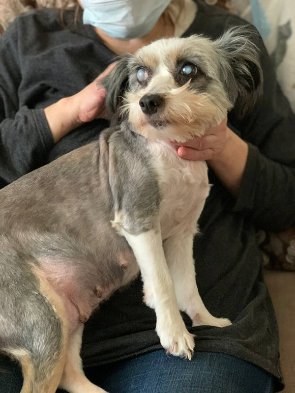 9856E4D8-DD8A-47B1-8283-CDAA44DD08A1