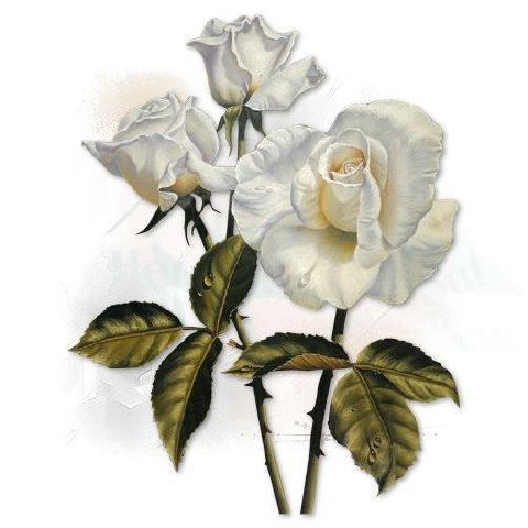 Siempre Libre & Glitters y Gifs Animados Nº350 - Página 63 Tubefleur30