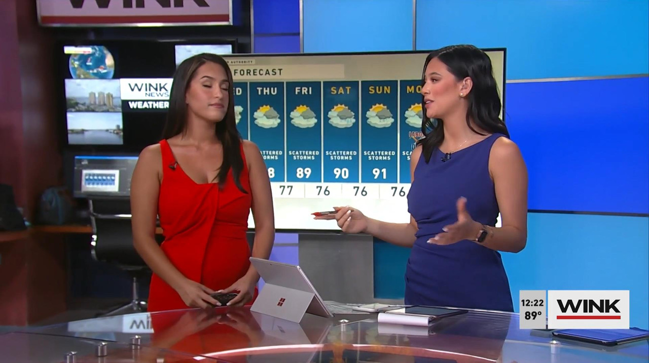 09.01 - 17.00.00 - Wink Noon News. Local News, Sports And Weather-1.m4v_snapshot_23.58_[2021.09.01_2