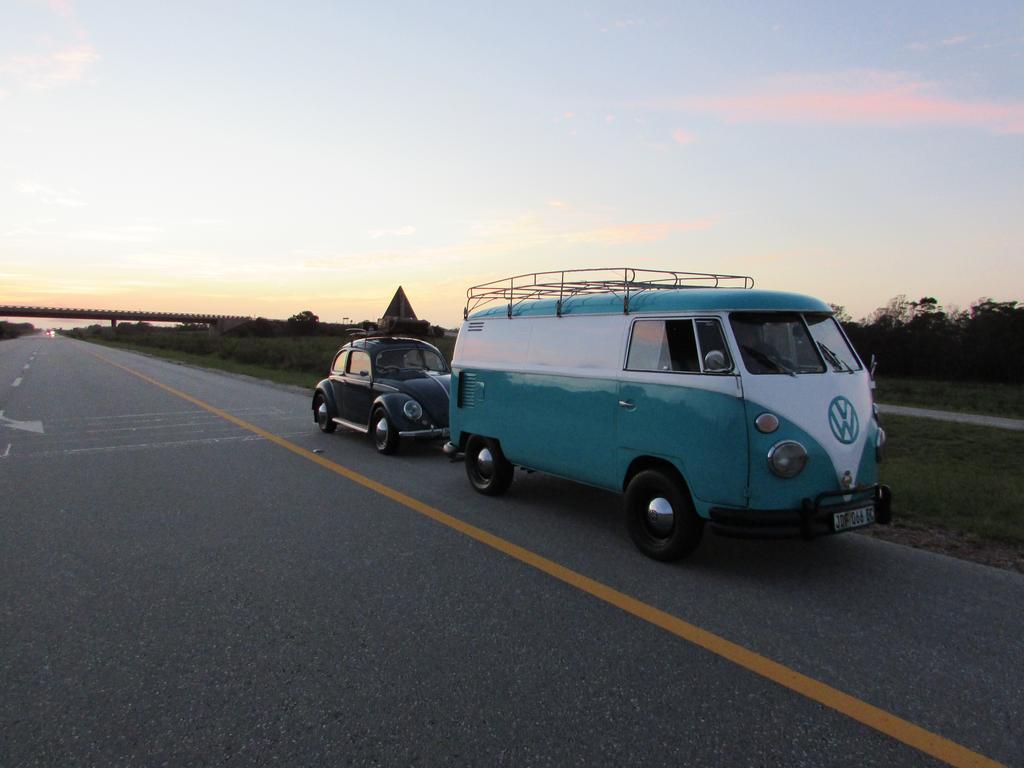 George Show 2019 (4)