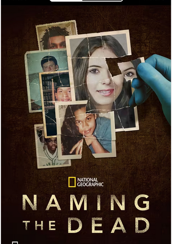 [Obrazek: screenshot-87.png]