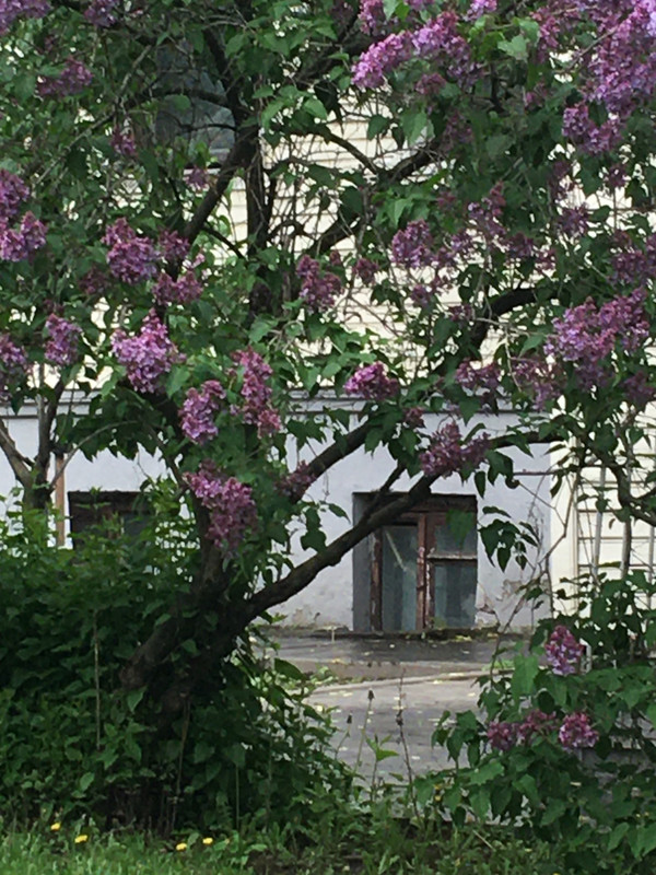 Прогулка вокруг Храма Христа Спасителя 043