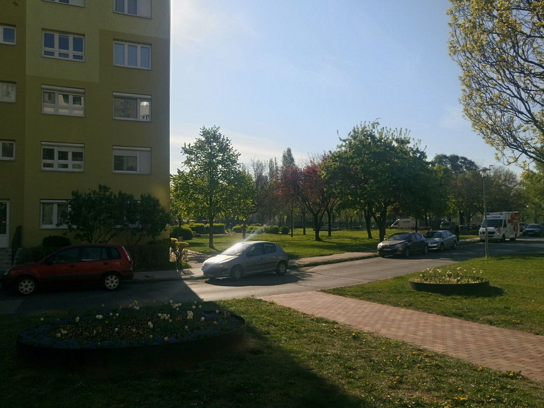 Kép