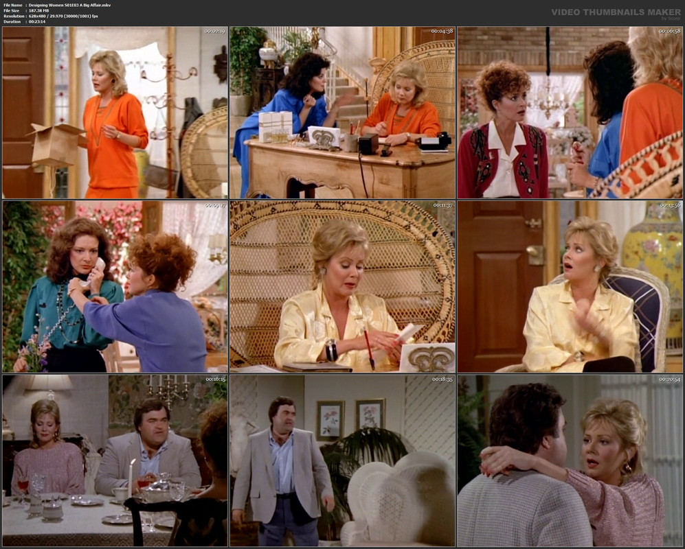Designing Women S01E03 A Big Affair.mkv