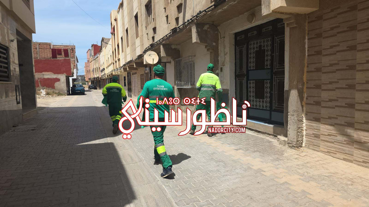 Whats-App-Image-2026-05-25-at-15-18-46-(1)